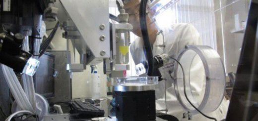 匹茲堡大學(xué)用3D打印出可生物降解的金屬骨支架