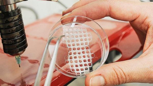 Maastricht大學(xué)啟動歐洲最大3D生物打印項目