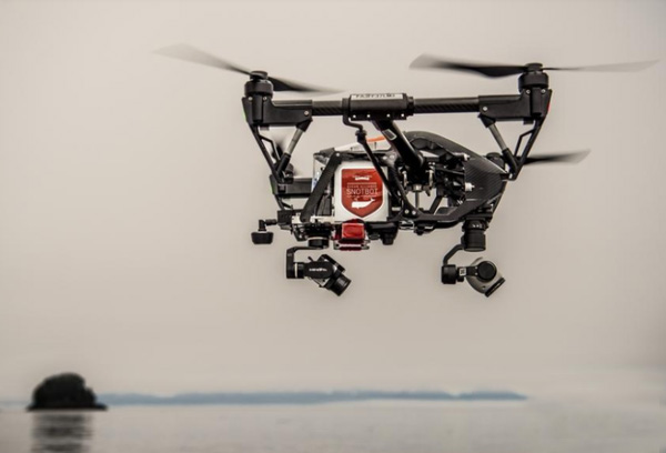 研究人員借3D打印無人機研究制定鯨魚保護策略