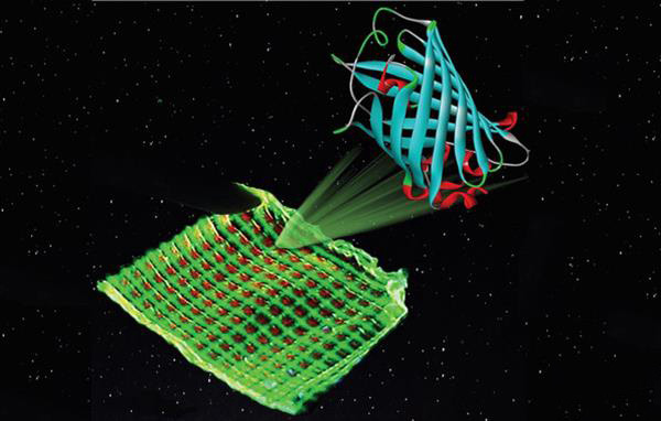 含發(fā)光蛋白的3D打印生物顯示器可替代現(xiàn)有液晶屏