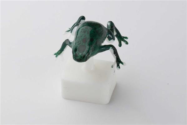 Formlabs測試用于3D打印對象著色的計算水印打印技術(shù)