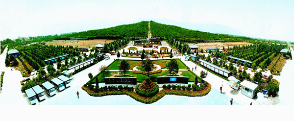 倒計(jì)時(shí)！國(guó)內(nèi)首款景區(qū)機(jī)器人入駐秦始皇陵兵馬俑！