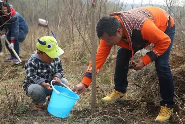 限量搶定 | 北京童程童美精彩植樹主題活動招募中！更有免費名額等你來！