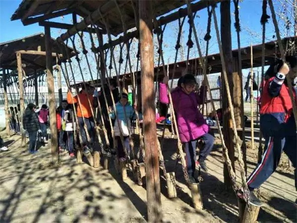 限量搶定 | 北京童程童美精彩植樹主題活動招募中！更有免費名額等你來！