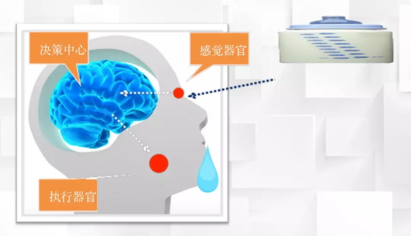 一節(jié)小學(xué)生也能聽懂的專業(yè)課：機(jī)器人和物聯(lián)網(wǎng)是怎么協(xié)同工作的？