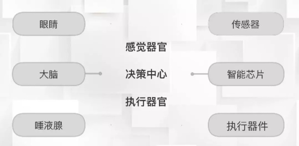 一節(jié)小學(xué)生也能聽懂的專業(yè)課：機(jī)器人和物聯(lián)網(wǎng)是怎么協(xié)同工作的？